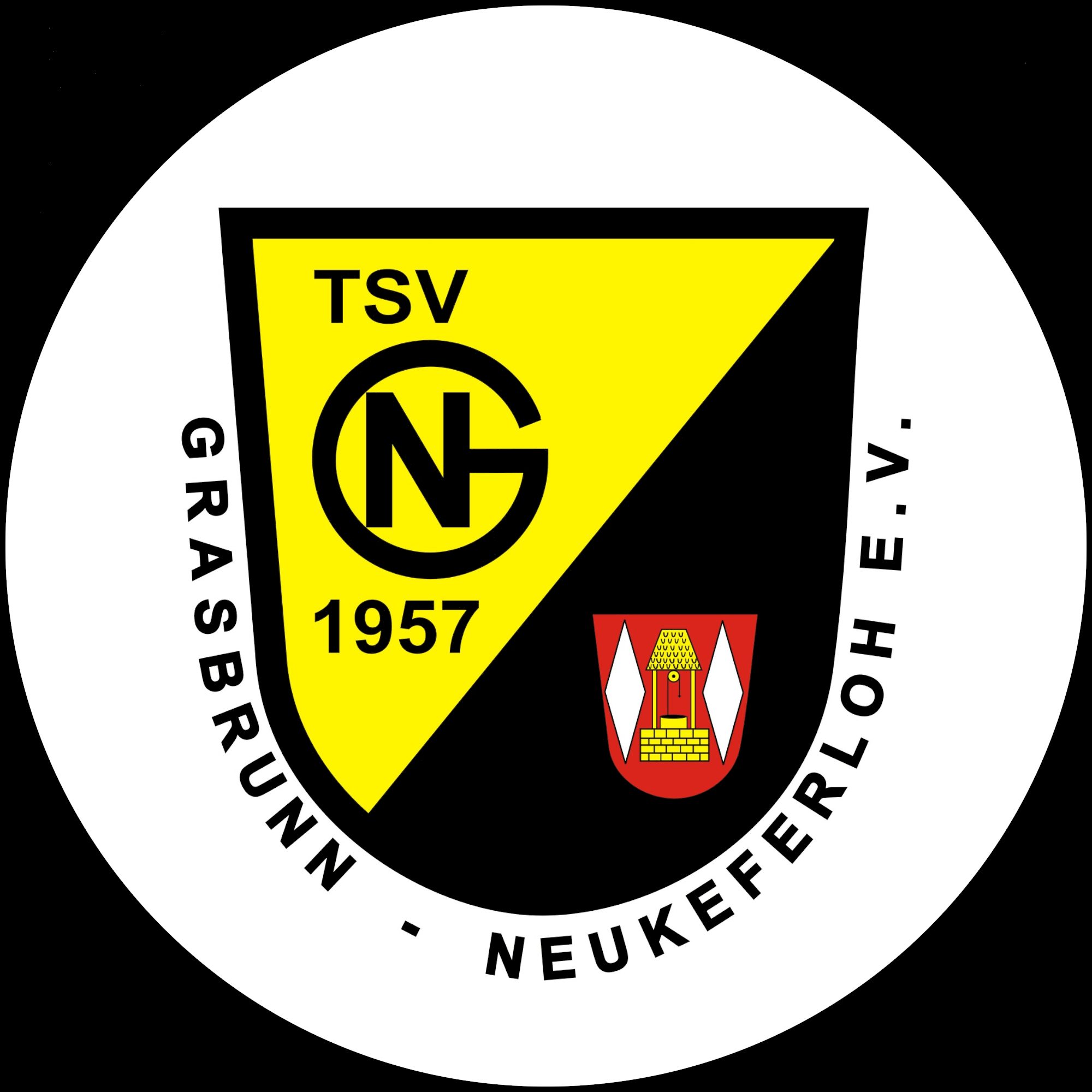 Volleybees